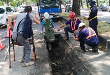 捷運局進行雨豆樹根系調查與試挖(圖)