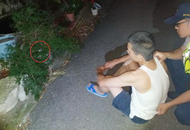 毒蟲遇警扔丟毒品卡樹人贓俱獲(圖)