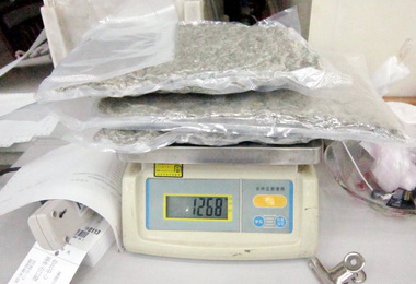 高雄關查獲郵包走私大麻(圖)