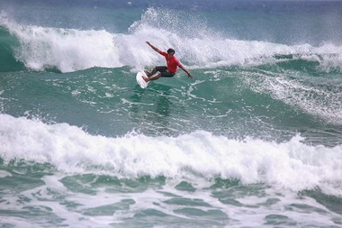 秋遊屏東逐浪賞鷹(圖)