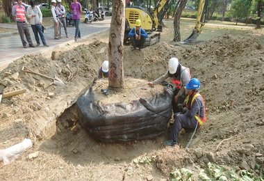 高市捷運局推動環狀輕軌不忘保護路樹(圖)