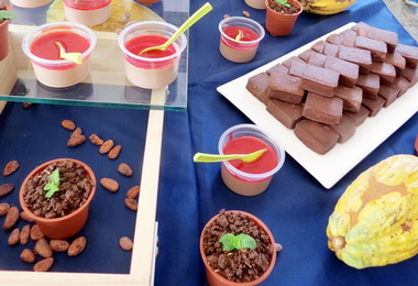 永興國小巧克力食農教育成果發表(圖)