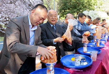 信義鄉踏雪尋梅系列活動率先於廿日登場(圖)