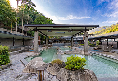 三峽大板根2019年諸事大吉慶新春(圖)