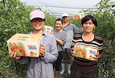高雄郵局農產行銷「美濃橙蜜香番茄」(圖)