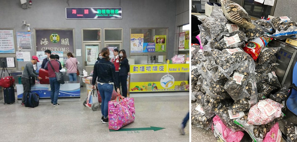 中秋將屆海關呼籲小三通旅客勿攜帶超量大陸香菇入境(圖)