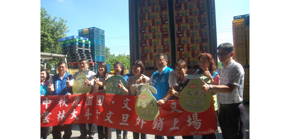 中秋慶團圓斗六文旦封櫃外銷上場(圖)