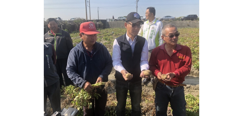 雲林降雨馬鈴薯災損 劉建國爭取天然災害現金救助(圖)