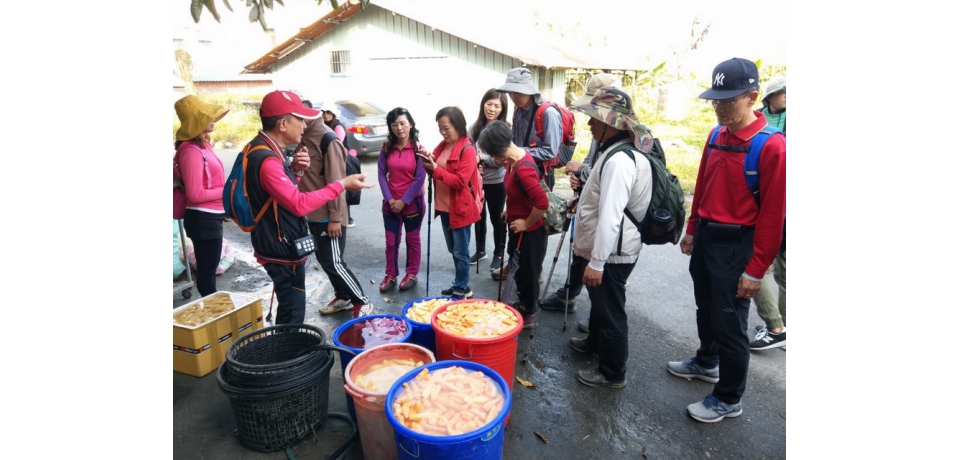 2020紫南宮丁酒文化季系列活動八通關古道登山健行250名秒殺額滿(圖)