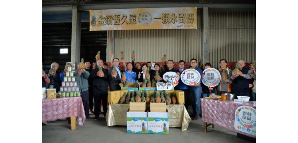 金鑽恆久遠 一顆永留傳雲林鳳梨上場(圖)