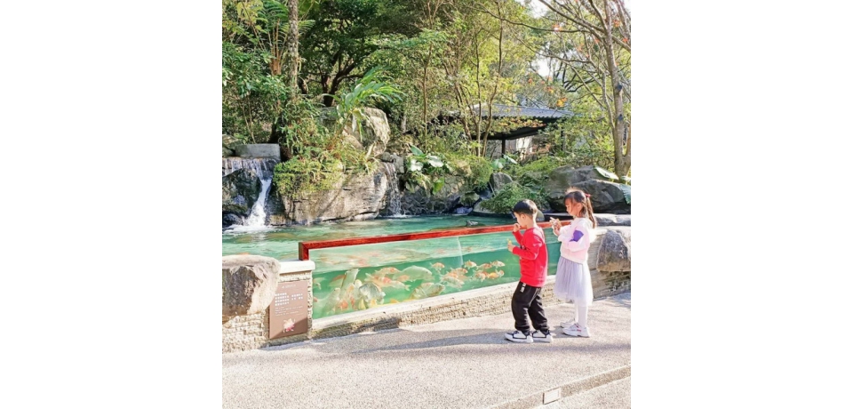 大板根森林溫泉酒店兒童節推出優惠住房專案(圖)