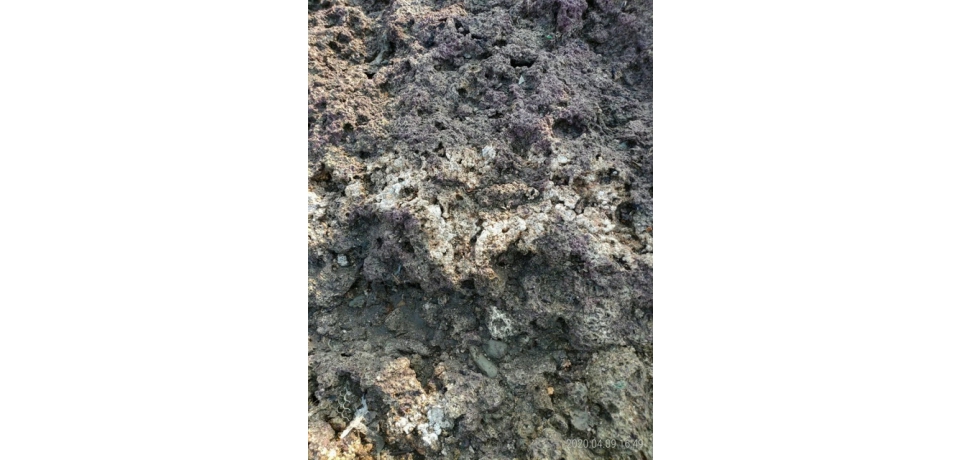 中油公司工作船靠泊大潭藻礁岸際事件調查結果送相關單位(圖)