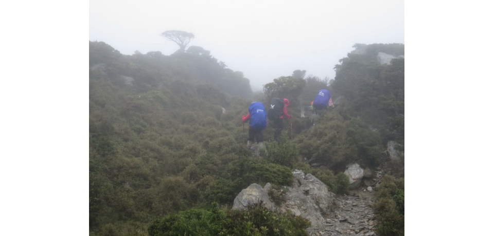 登山健行賞景去　滿載收穫平安回(圖)