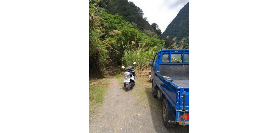 信義鄉八通關古道登山客群體遭虎頭蜂攻擊　警消出動救援(圖)