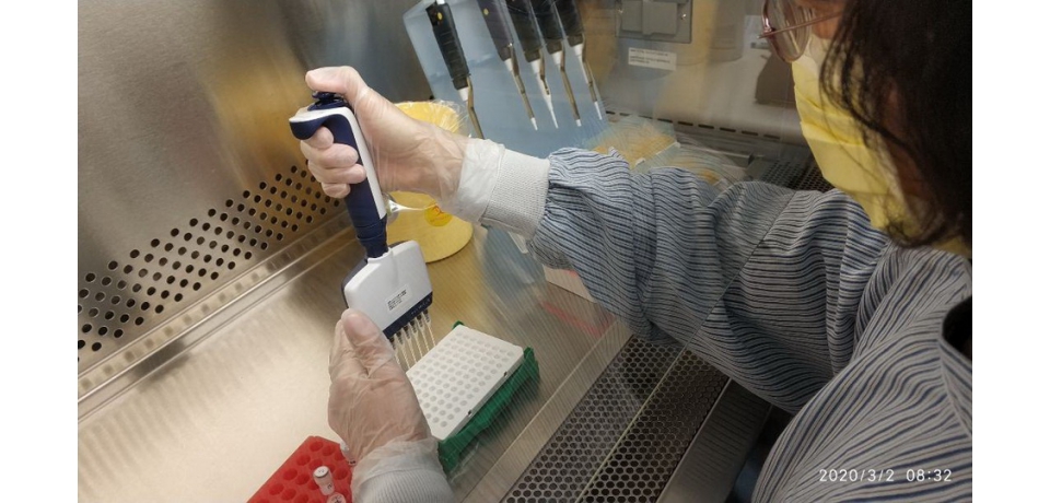 高醫新冠篩檢準確率高獲國際學術期刊肯定(圖)