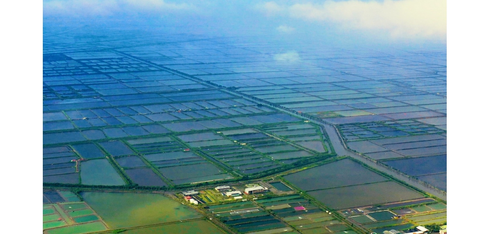 臺鹽綠能宣布在高雄永安啟動漁電共生計畫支持高雄打造智慧綠能城(圖)