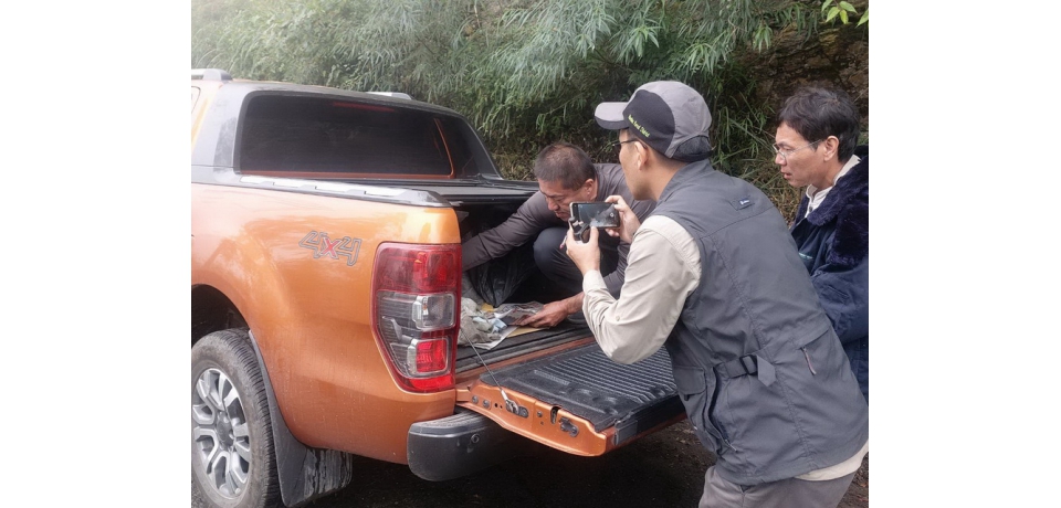 搶救台灣野山羊　林管處從上到下動員(圖)