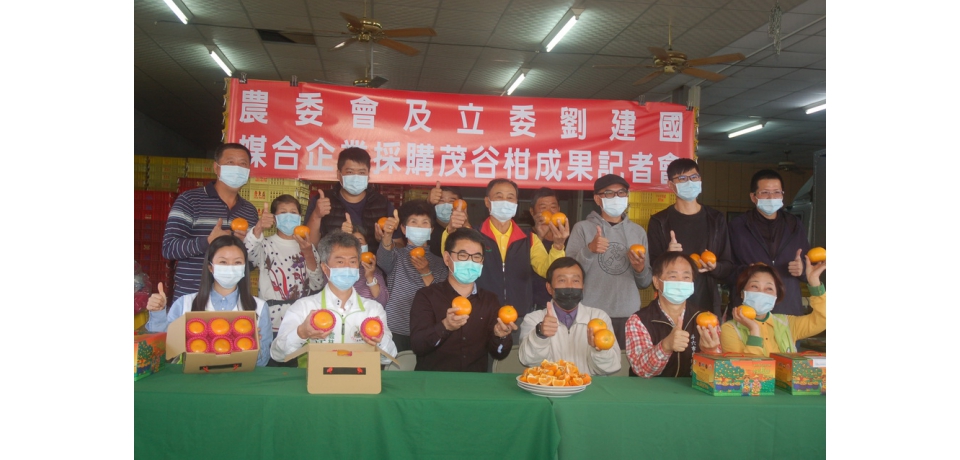 力推雲林茂谷柑企業團購 產地直送深獲好評(圖)