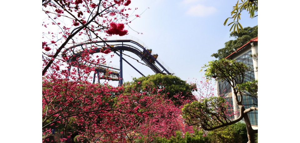 劍湖山5.8米金牛現身 228假期門票99元起(圖)