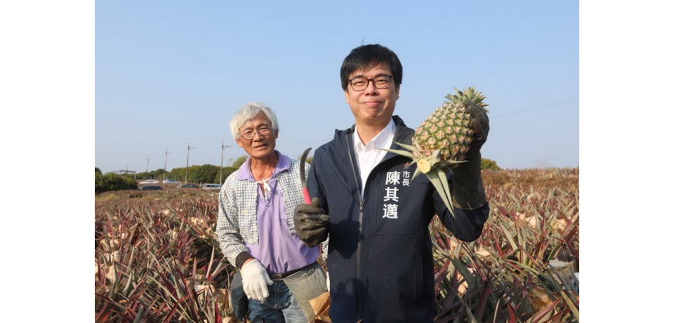 中國禁台灣鳳梨 陳其邁：違反國際貿易常規 研擬多元行銷協助農民(圖)