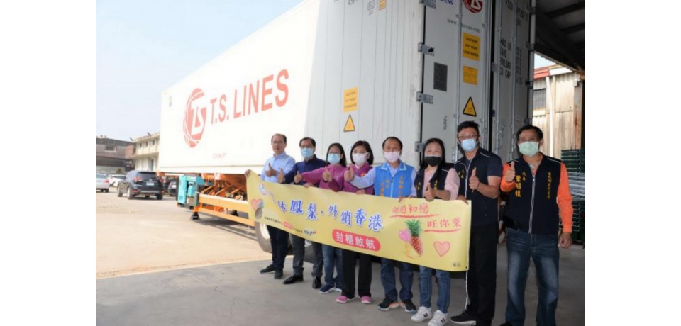甜過初戀 旺你萊 雲林鳳梨外銷香港封櫃啟航(圖)