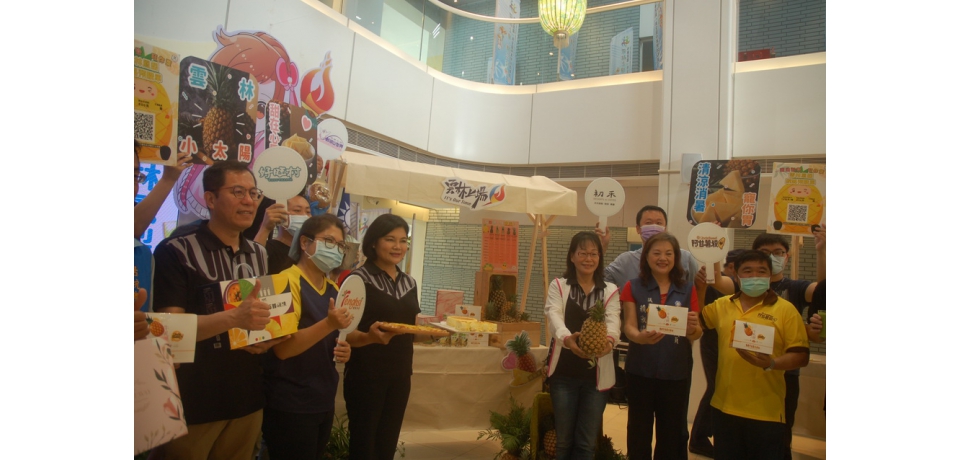 雲林鳳梨酸甜 香氣濃郁 喚醒味蕾 一口甜入心扉(圖)
