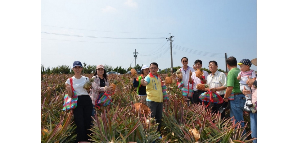 挺旺萊！雲網協攜手高雄郵局關懷在地鳳梨小農(圖)