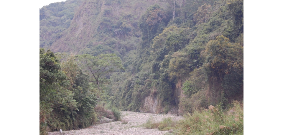 漫步青桐林生態園區 享受清靜天地(圖)
