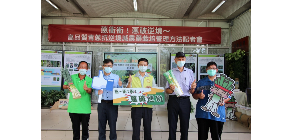 農試所研發抗逆境之青蔥減農藥栽培管理方法 可提升青蔥品質及提高產量(圖)