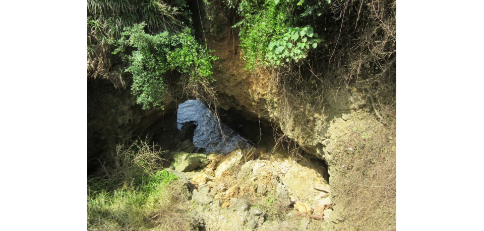 壽山西岸海蝕洞落石危險  管理處提醒民眾勿近(圖)