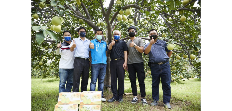 斗六文旦品質評鑑全程直播 邀您評選出最優質的Mr.柚(圖)