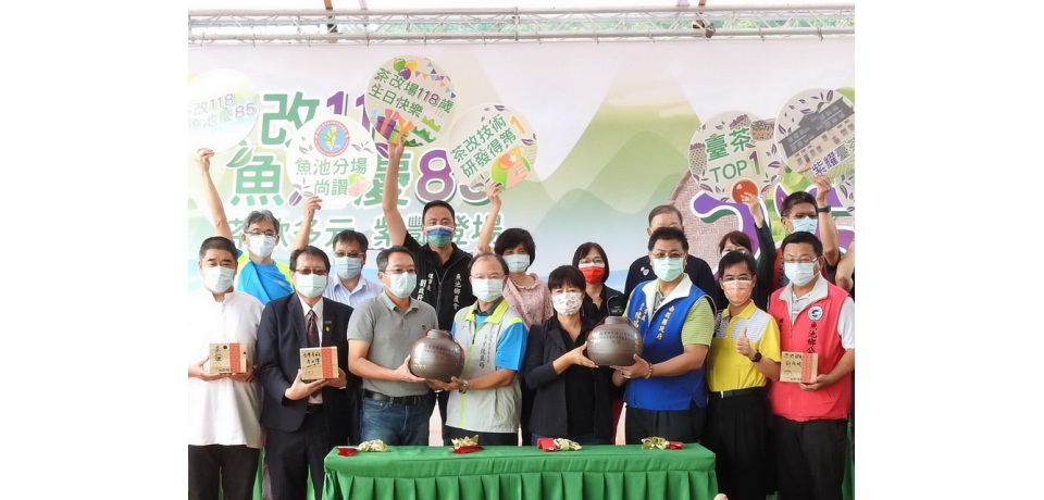 茶改場魚池分場歡慶85歲生日　台茶25紫豔登場(圖)