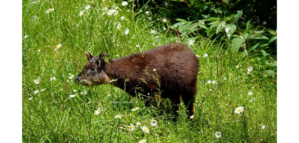 玉管處推廣防疫登山新思維(圖)