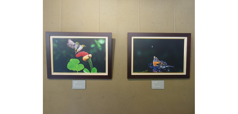 新光國中創校校長賴明杭攝影展(圖)