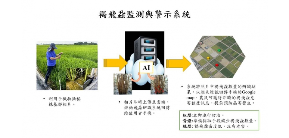 農業試驗所舉辦抗褐飛蝨早熟香米新品種「台農85號」說明會(圖)