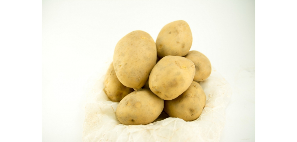 食材新風味 多樣化利用的馬鈴薯新品種：台農4號(圖)