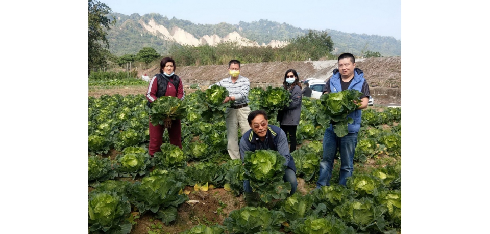竹山鎮桶頭里樂活董家休閒農埸疏菜水果產銷合一體驗農家樂(圖)