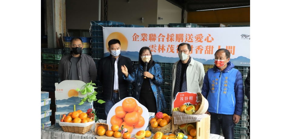 企業聯合採購雲林茂谷柑　支持農民兼做公益(圖)