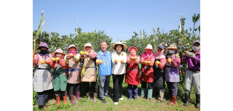 善心人士認購茂谷愛心不斷　長者社福單位同聲按讚(圖)