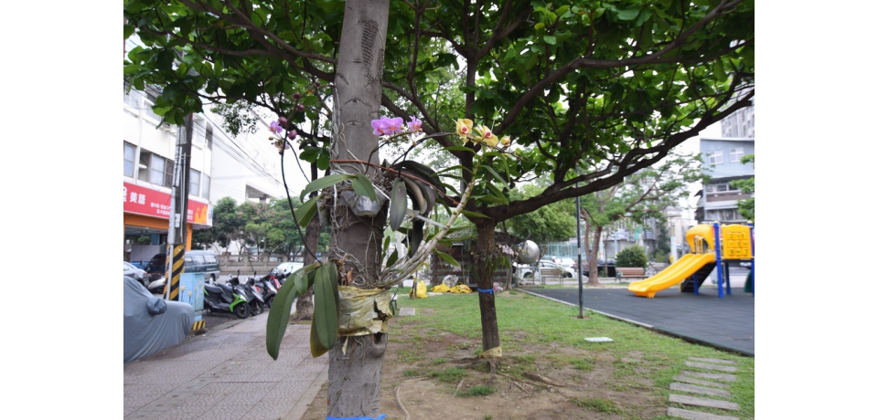 大里區東明公園營造溫暖氛圍(圖)