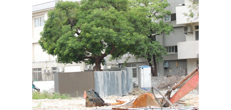 飛躍進步中的大里區(圖)