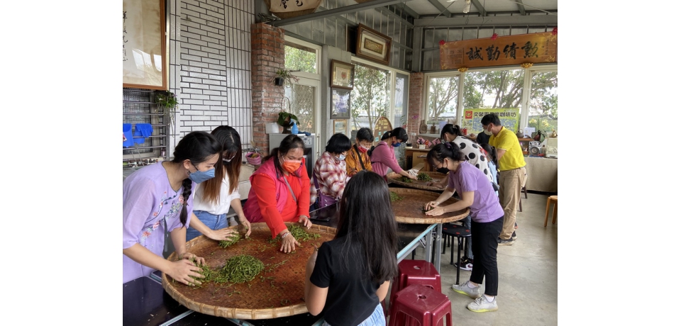 增進新住民認識臺灣茶文化體驗一日茶農 與新住民名間鄉奕馨園一起來找茶(圖)