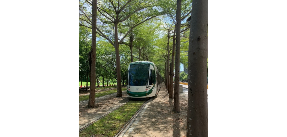 高雄捷運路網規劃廣納民意　青線納入紫線可行性研究招標案辦理評估(圖)