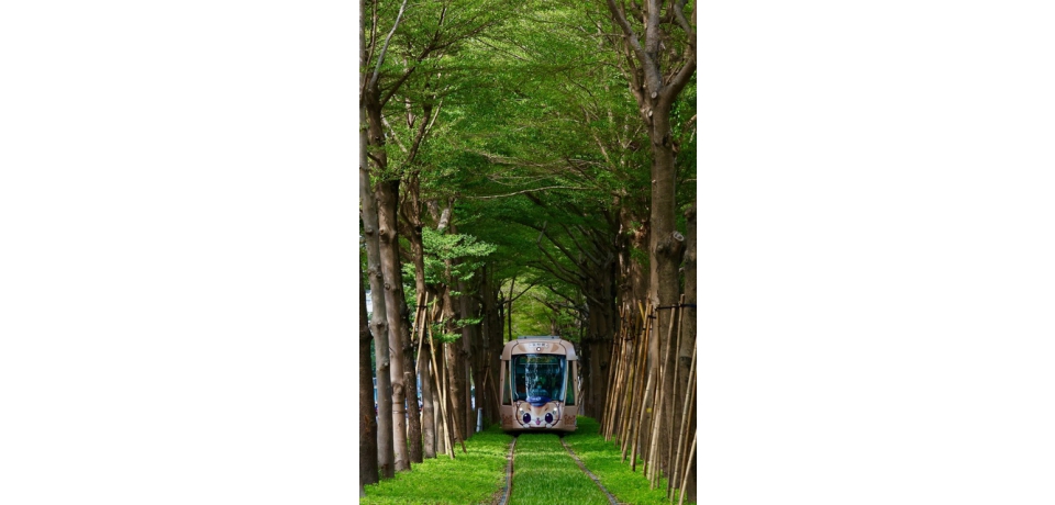 歡慶最美路段試營運啟航及台灣設計展開幕 「蜜瑪連線～歡樂同萌會」彩繪列車駛進龍貓隧道(圖)