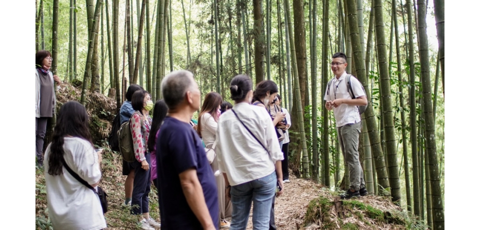 臺灣首場森林療癒祭市集 草嶺石壁登場(圖)