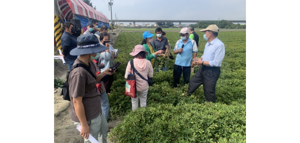 台塑企業與朝陽科大農業團隊舉辦花生種植觀摩會(圖)
