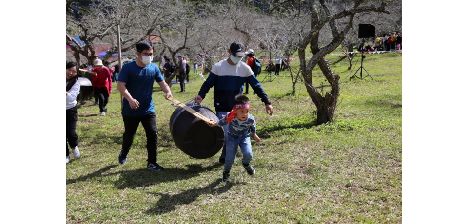 踏雪尋梅主題日活動 在柳家梅園熱鬧展開(圖)