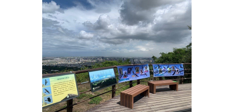 屏山賞鷹季來了 國家自然公園管理處3月11日起假日上午提供定點猛禽解說(圖)