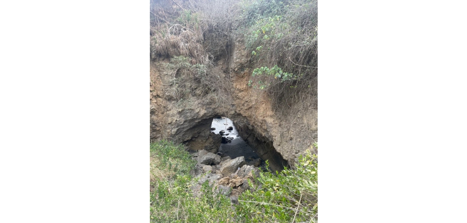 壽山西岸海蝕洞落石危險  自管處提醒民眾勿近(圖)