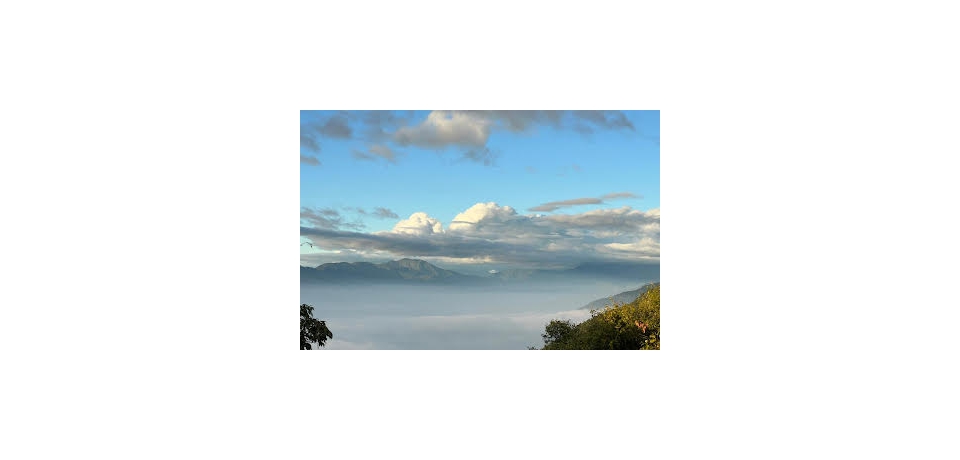 森濤再現 漫步藤枝國家森林公園 4/21起免預約入園(圖)